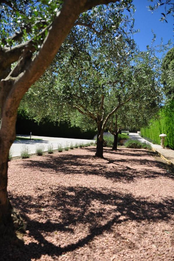 Le Jardin Des Amandiers Châteaurenard Exterior photo