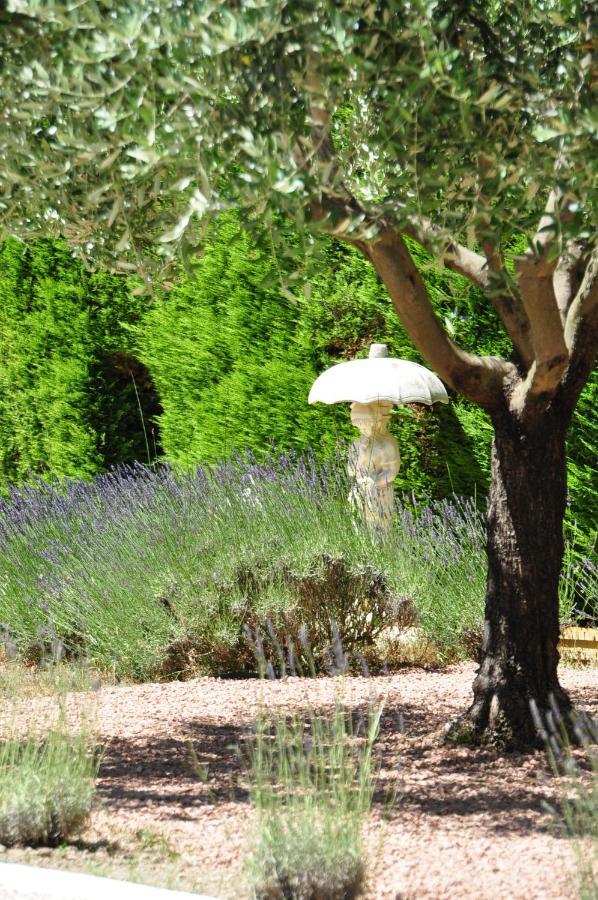 Le Jardin Des Amandiers Châteaurenard Exterior photo
